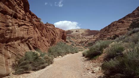Handheld-shot-of-a-stunning-landscape-shot-of-a-dry-windy-desert-hiking-path-surrounded-by-sage-brush,-large-red-and-pink-rocks-near-the-popular-tourist-destination-of-buckskin-gulch-in-southern-Utah