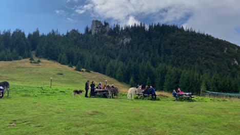 Während-Touristen-Sich-An-Aktivitäten-Mit-Eseln-Beteiligen-Und-In-Ihre-Alltäglichen-Aufgaben-Eintauchen,-Können-Sie-Die-Fesselnde-Faszination-Der-Rumänischen-Brasov-Landschaft-Erleben