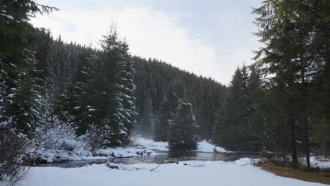 Time-lapse-of-a-calm-mountain-river-flowing-through-fir-forests-in-the-winter-season,-with-a-touch-of-fog-and-sunlight