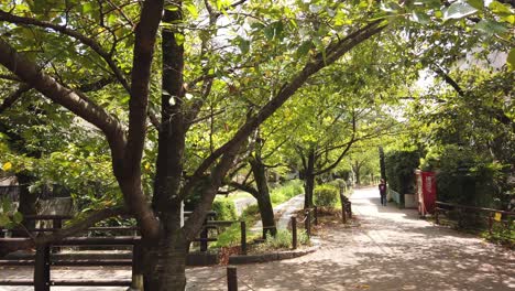 Hand-Held-Shot-Around-Philosopher's-Path,-Kyoto-Travel-Destination-in-Japan,-Green-Trees-and-Calm-Atmosphere