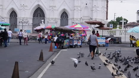 Palomas-Se-Reúnen-En-La-Calle-Mientras-La-Cámara-Recorre-Los-Quioscos-De-Comida-Callejera,-Slv