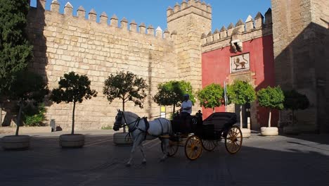 Vídeo-4k-Del-Patio-Del-Alcázar-Con-Caballos-Y-Carruajes.