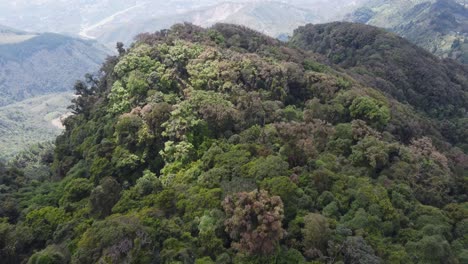 Summit-flyover:-Dense-lush-green-jungle-foliage-on-rugged-mountains