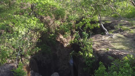 Woman-stands-on-large-tree-branch-over-narrow-river-canyon-pool