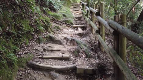 Woodland-hiking-stairs,-trail-in-green-lush-forest-Daimonji-mountain-Japan,-wooden-construction-between-mossy-path