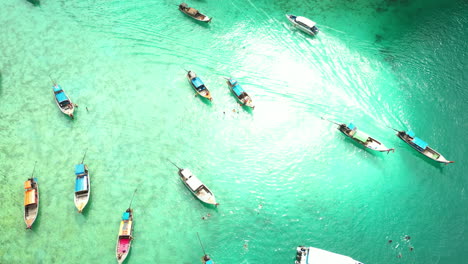 Thai-long-tail-boats-for-tourist-passengers-in-Maya-Bay,-aerial-tilting-downward