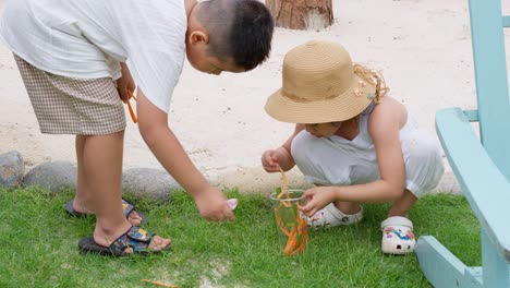 Zwei-Asiatische-Kinder-Sammelten-Karottenstifte-Ein,-Um-Sich-Auf-Das-Füttern-Der-Schildkröten-Vorzubereiten
