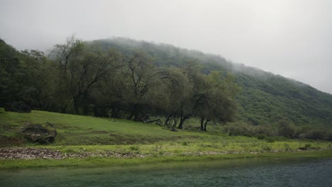 Ruhiger-Fluss-Und-Grüne,-Neblige-Natur