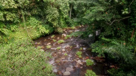 Drohne-Schoss-Durch-Dichten-Regenwald-Und-über-Einen-Felsigen-Fluss-Im-Sonnigen-Indonesien