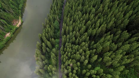 Empty-road-in-between-pine-trees,-mysterious-lake-aerial
