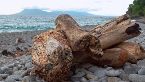 Low-Angle-Close-Up-of-Driftwood-on-a-Shingled-Beach-of-Pebbles-in-Looc-Bay,-Philippines