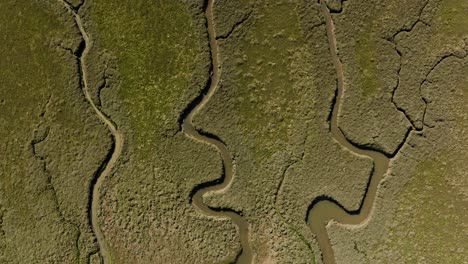 Vogelperspektive-Salzmarsch-Küste-Muster-Bäche-Wasser-Natur-Umwelt-Meer-Marschland-Luftaufnahme-über-Dem-Kopf