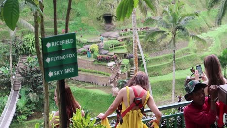 Mädchen-In-Farbenfrohen-Langen-Schleppenkleidern-Warten-Auf-Den-Reisfeldterrassen-Von-Bali-Auf-Ein-Fotoshooting-Mit-Einer-Riesenschaukel