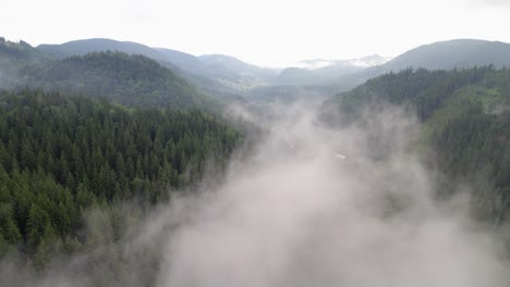 Nebelwolke-Hängt-über-Einem-Kiefernwald-Mit-Einem-Kleinen-Dorf-Darunter