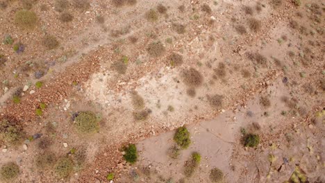 Top-down-aerial-of-arid,-desert-landscape-of-Tenerife,-Canary-Islands