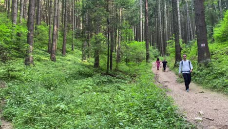 People-Enjoying-a-Peaceful-Walk-in-the-Green-Summer-Forest-in-Europe