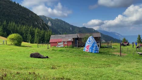 Esel-Steht-Auf-Einem-Malerischen-Feld-Mit-Ruhiger-Bergkulisse-Und-Hütte,-Während-Wanderer-Sich-Auf-Ihr-Abenteuer-Vorbereiten