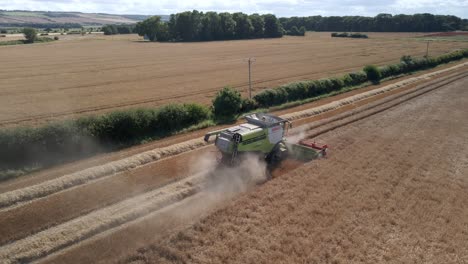 Imágenes-Aéreas-De-Una-Cosechadora-Y-Un-Tractor-Cosechando-Una-Cosecha-De-Trigo.