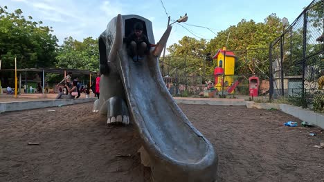 Los-Niños-Pequeños-Disfrutan-Del-Paseo-En-Elefante-En-El-Parque-Público.