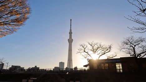 Tokyo-Skytree-Bei-Sonnenaufgang-An-Einem-Spätherbsttag
