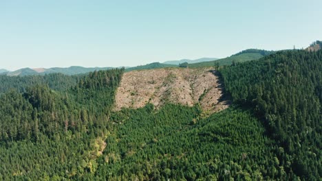 A-drone-rotates-over-firs-and-conifers-on-the-mountain-slopes-of-Oregon