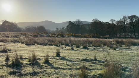 Bucolic-frosty-morning-nature-meadow-backlit-from-rising-golden-sun