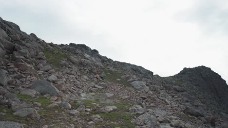 Mujer-Excursionista-Con-Su-Perro-Mascota-En-La-Montaña-En-Salberget,-Noruega---Amplia
