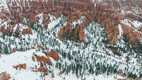 Snowy-Forest-And-Hoodoos-In-Bryce-Canyon-National-Park-In-Winter-In-Utah,-USA
