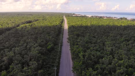 Perspectiva-Aérea-De-Una-Larga-Carretera-Costera-Rodeada-De-Un-Frondoso-Bosque-En-Cozumel,-México