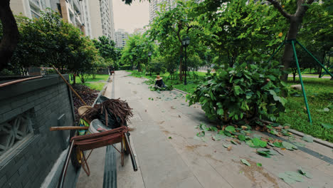 People-pruning-green-trees-in-a-park-next-to-residential-buildings
