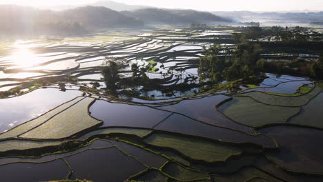 Luftaufnahme-Der-Sonne,-Die-Sich-Bei-Sonnenaufgang-Auf-Dem-Wasser-In-Den-Reisfeldern-Spiegelt