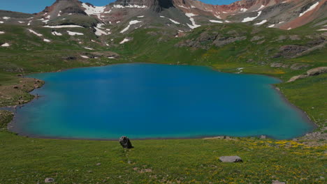 Aerial-drone-cinematic-deep-sky-blue-stunning-Ice-Lake-Basin-Island-Lake-Silverton-Colorado-stunning-heavenly-dreamy-green-summer-wildflower-Rocky-Mountains-snow-melting-Telluride-14er-peaks-reveal