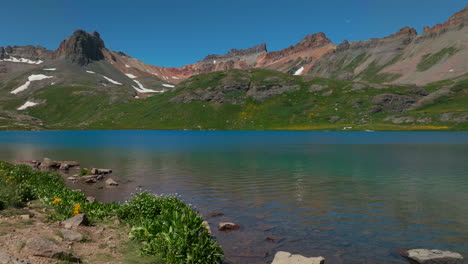 Dreamy-heavenly-Silverton-Ice-Lake-Basin-aerial-drone-cinematic-unreal-deep-sky-blue-wildflower-shoreline-Silverton-Colorado-lush-green-summer-incredible-snow-melting-Rocky-Mountains-backward