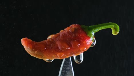 Red-chili-pepper-stuck-in-a-knife-close-up-zoom-with-water-splashing-on-a-black-background