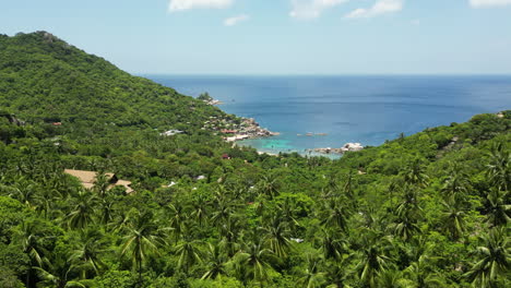 Lush-Green-Palm-Trees-Overlooking-The-Blue-Sea-In-Koh-Tao-Island-In-Thailand