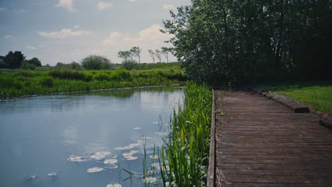 Pond-with-Aquatic-Plants-Next-to-Wooden-Jetty,-Tracking-Cinematic-Shot