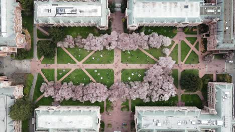 Luftaufnahme-Von-Oben-Nach-Unten,-Zeitraffer-Von-Gehenden-Menschen-Im-Innenhof-Des-Quads-Der-University-Of-Washington-In-Seattle,-Washington