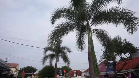 Street-on-a-quiet-wealthy-neighborhood-at-Cirebon,-Indonesia