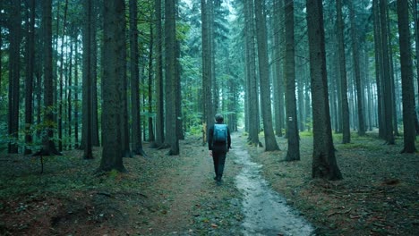 Man-with-a-backpack-walks-along-a-forest-path-between-tall-trees