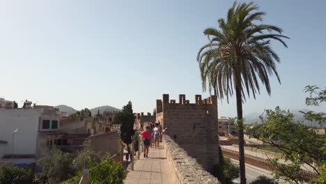 Old-walls-and-palm-tree