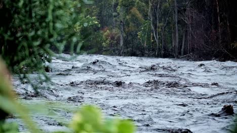 Fluss,-Der-Nach-Einem-Sturm-Mit-Voller-Kraft-Fließt,-Mit-Bäumen-Und-Pflanzen-Am-Ufer