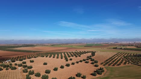 Paisaje-Del-Campo-De-Cultivo-De-La-Mancha-Con-Cielo-Azul-Desde-La-Vista-De-Drones