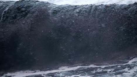 Wave-of-black-water-and-debris-breaking