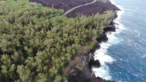 Pan-up-to-show-a-volcanic-coastline-and-recent-flow-in-Hawaii's-Puna