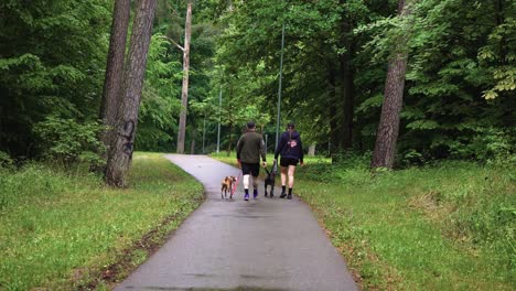 Beautiful-shot-of-a-couple-walking-with-their-dogs-in-a-park