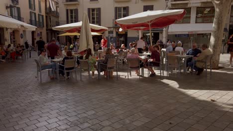 Barterrassen-Im-Stadtzentrum-Von-Palma-De-Mallorca