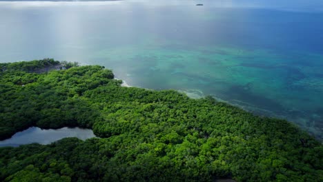 Üppige-Vegetation-Bedeckt-Eine-Tropische-Insel-In-Den-Rosario-Inseln,-Kolumbien