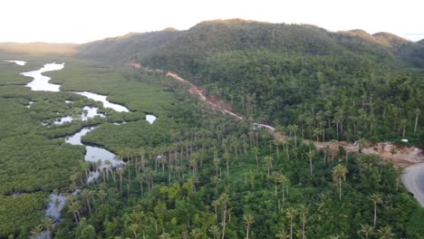 Trabajos-De-Construcción-De-Carreteras-Cerca-De-Maasin-Y-Terraza-Con-Vistas-A-Las-Palmeras-En-La-Isla-De-Siargao,-Filipinas