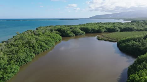 Aerial-flyover-river-surrounded-by-mangroves-at-playa-los-negros-in-Azua,-Dominican-Republic