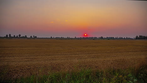 Panoramablick-Auf-Felder-Unter-Einem-Gelben-Sonnenaufgang
